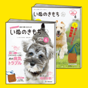 いぬのきもち6月号　雑誌